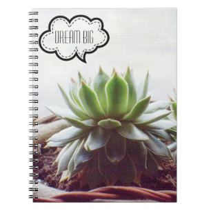 Carnet Succulent rêve d'Aeonium Gros devis