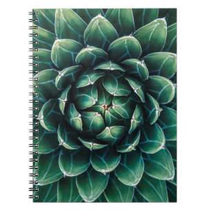 Carnet Succulent vert et blanc