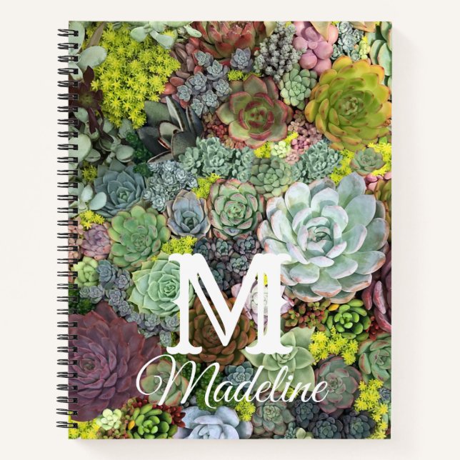 Carnet Succulents de verdure (Devant)