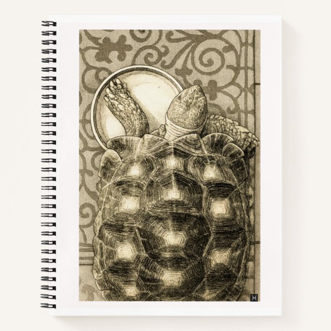 Carnet Sulcata Tortoise Art Nouveau Ink Sepia drawing (Devant)