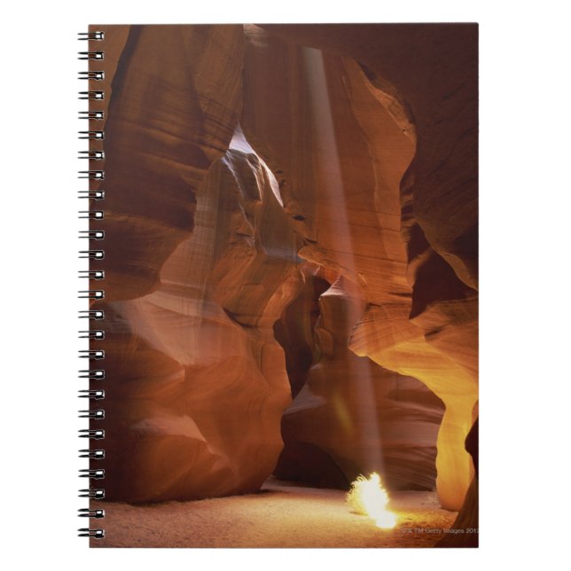 Carnet Sunbeam frappant l'amarante sur le plancher de (Devant)