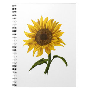 Carnet Sunflower Sunshine Floral Aquarelle Fleur