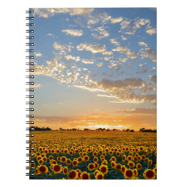 Carnet Sunflowers at Sunset (Devant)