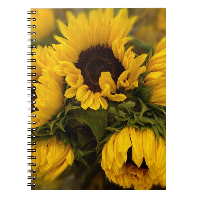 Carnet Sunflowers Blur Notebook (Devant)