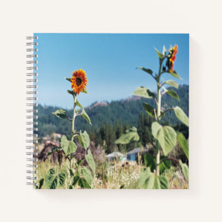 Carnet Sunflowers d'été......