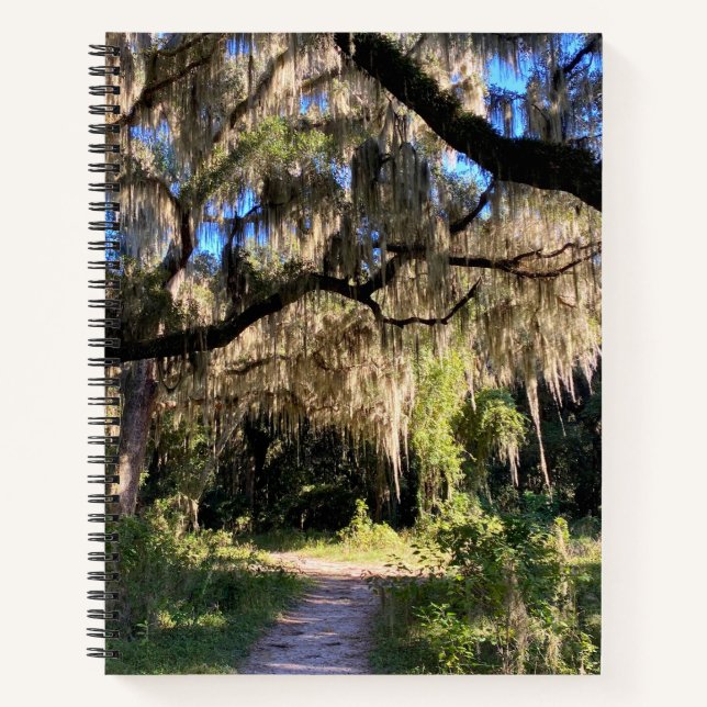 Carnet Sunlit Spanish Moss (Devant)