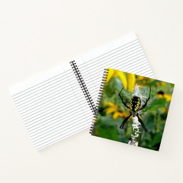 Carnet Superbe araignée orbicole dans sa toile (Intérieur)
