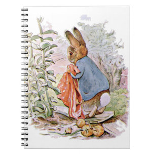 Carnet Sur le chemin de la maison Pierre a abandonné la p