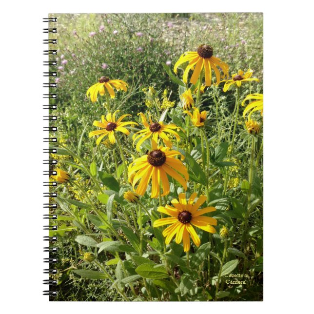 Carnet Susans aux yeux noirs (Devant)