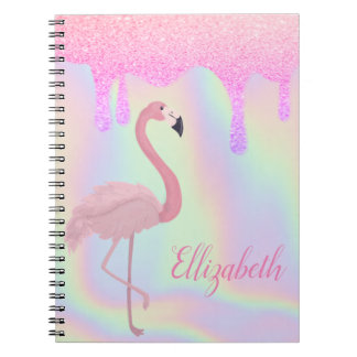 Carnet Sweet tendance Holographique, Flamant rose rose