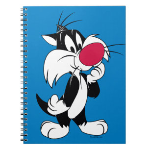 Carnet Sylvester Jr. Pose classique