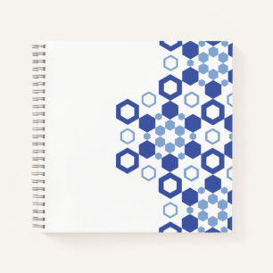 Carnet Symétrie figée
