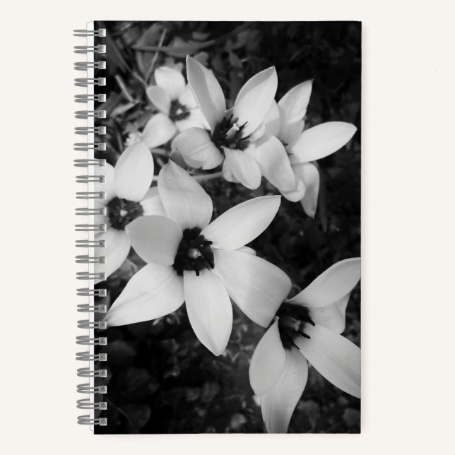 Carnet Symétrie Silencieuse (Recto)