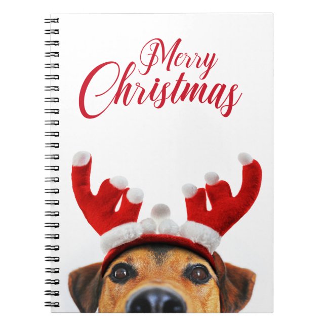 Carnet Sympa Christmas Chien Reindeer Antler Headband (Devant)