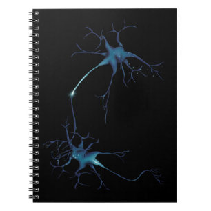 Carnet Synapse Entre Neurons, Neuroscience Neuron