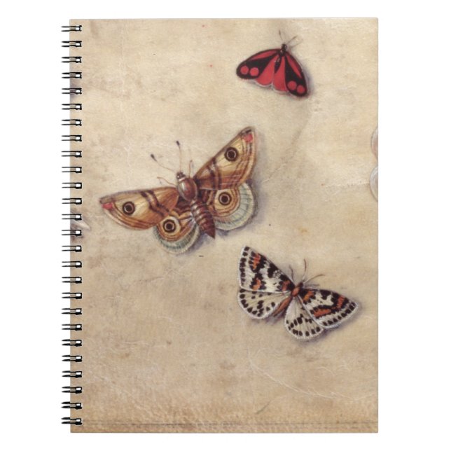 Carnet T31566 une étude de divers insectes, fruit et (Devant)