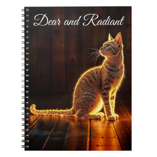 Carnet Tabby chat éclairage chaud animal aura brillant (Devant)