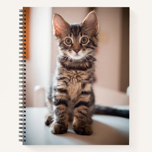 Carnet Tabby Kitten sur la table (Devant)