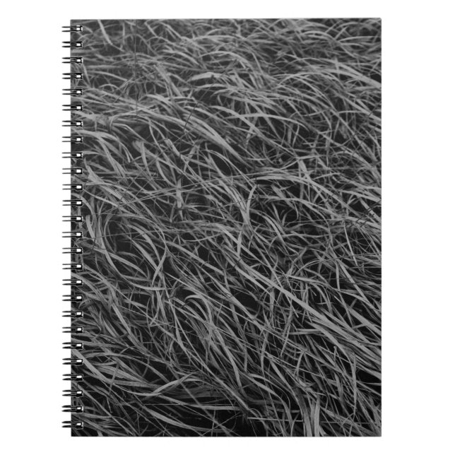 Carnet Tableau abstrait noir et blanc (Devant)