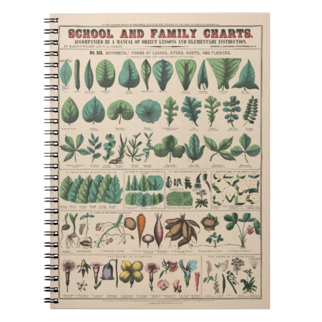 Carnet Tableau de l'École de Botanique Antique Nature Vin (Devant)