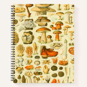 Carnet Tabouret de toilette Vintage de champignons Illust