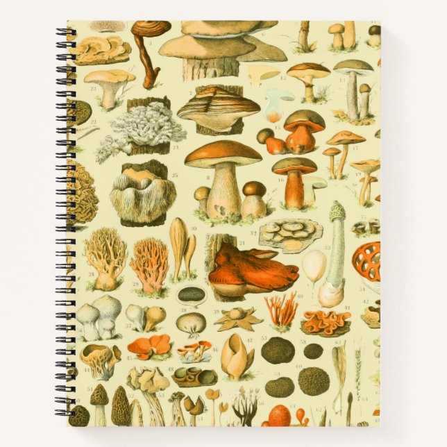 Carnet Tabouret de toilette Vintage de champignons Illust (Devant)