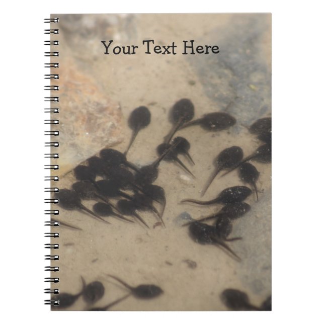 Carnet Tadpoles Nature (Devant)