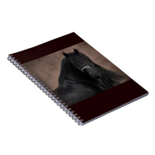 Carnet Talent frison