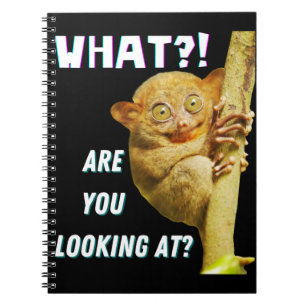 Carnet Tarsier aux gros yeux drôles Qu'est-ce que vous re