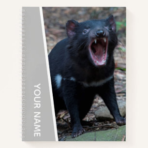 Carnet Tasmanie, Tasmanie, Australie, Argent