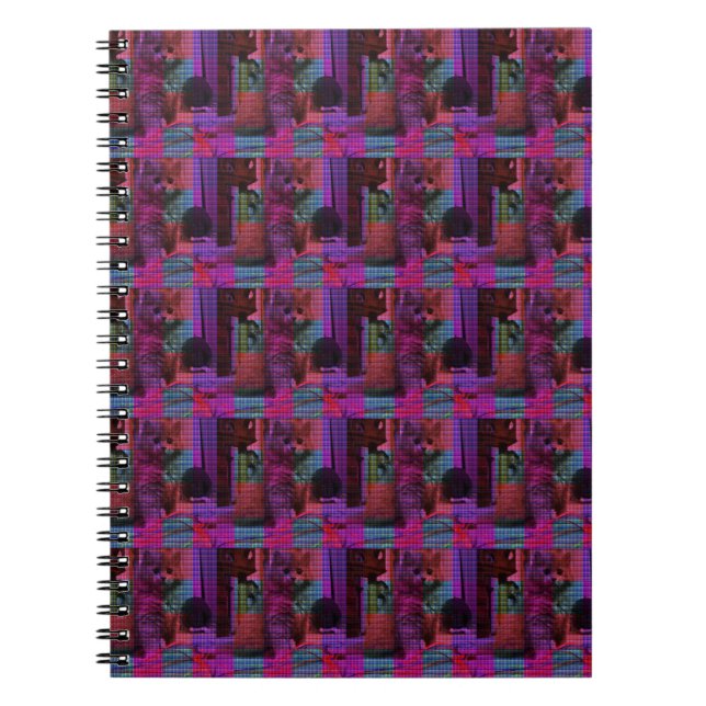 Carnet "Tatan Tails : Le Chaton Violet Jouant" (Devant)