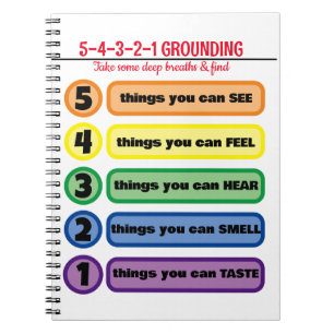 Carnet Technique de mise à la terre pour l'anxiété/le str