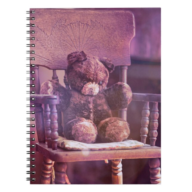Carnet Teddy (Devant)