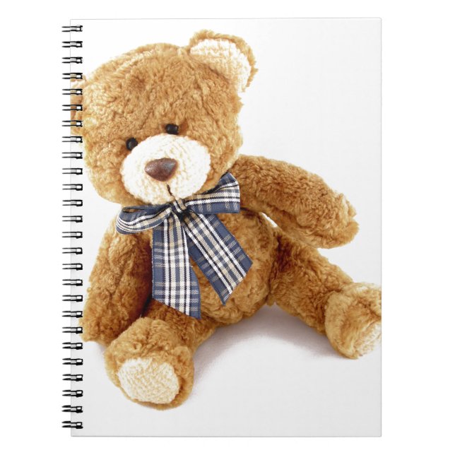 Carnet Teddy Bear (Devant)