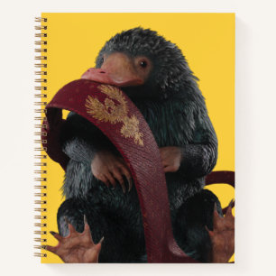 Carnet Teddy With Tie Graphic