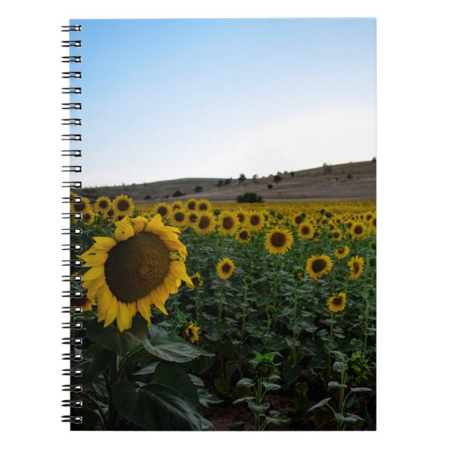 Carnet Terrain de tournesol (Devant)
