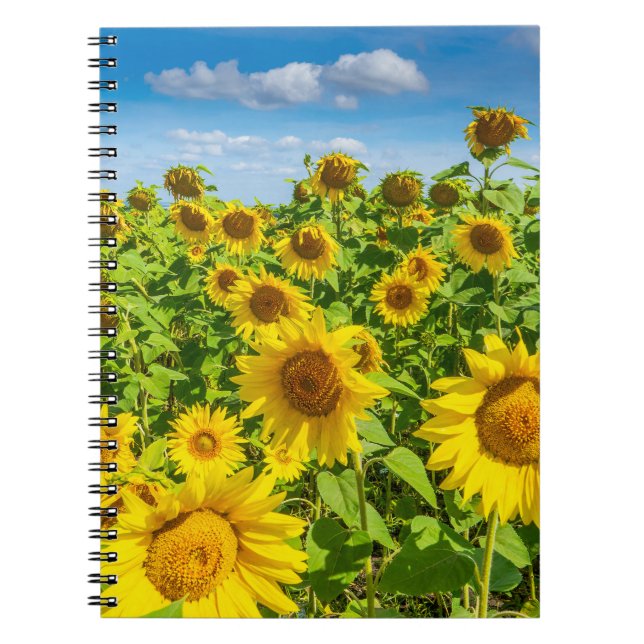 Carnet Terrain de tournesol, ensoleillé l'été. (Devant)