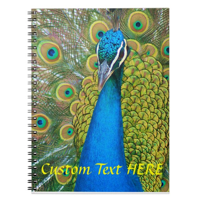 Carnet Tête de bleu de paon avec et plumes de queue (Devant)