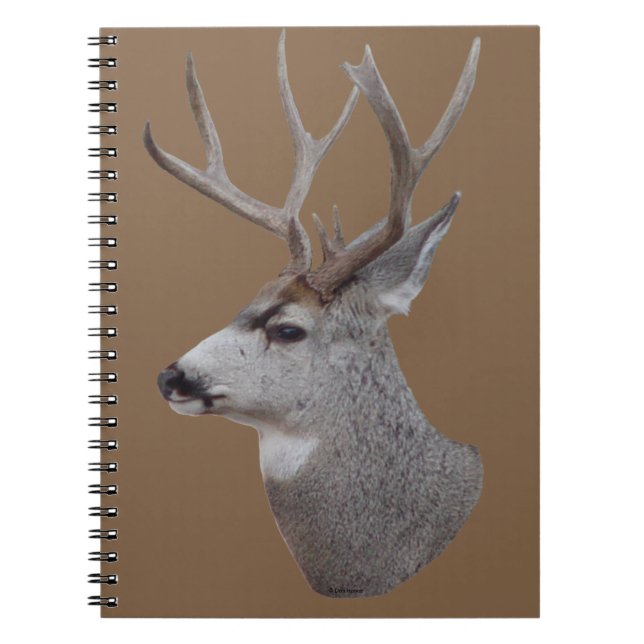 Carnet Tête de cerf mulet D27 (Devant)