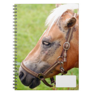 Carnet Tête de cheval 003