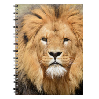 Carnet Tête de Lions
