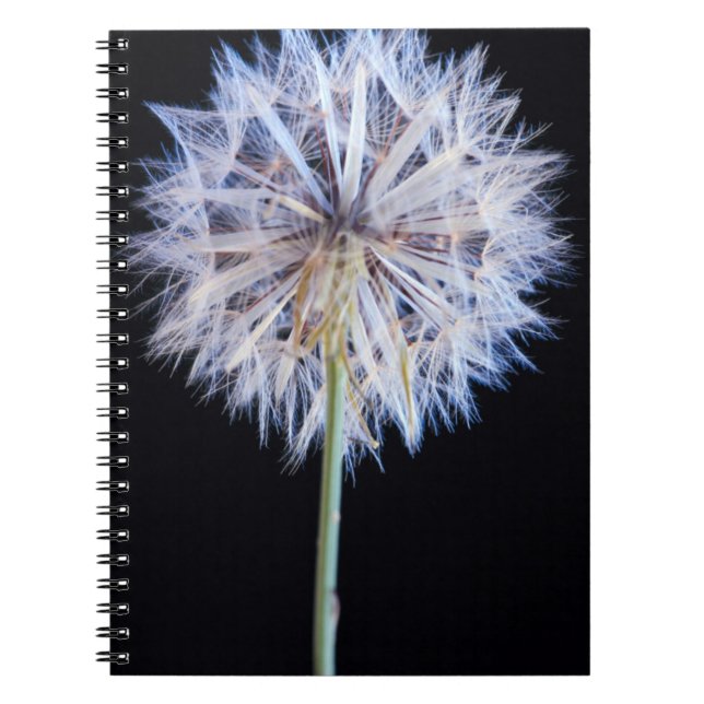 Carnet Tête de semence Dandelion (Taraxacum Officinale) (Devant)