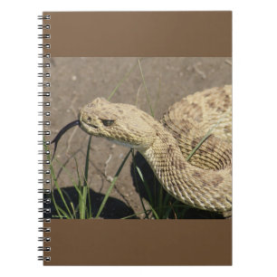 Carnet Tête de serpent à sonnette de prairie R8