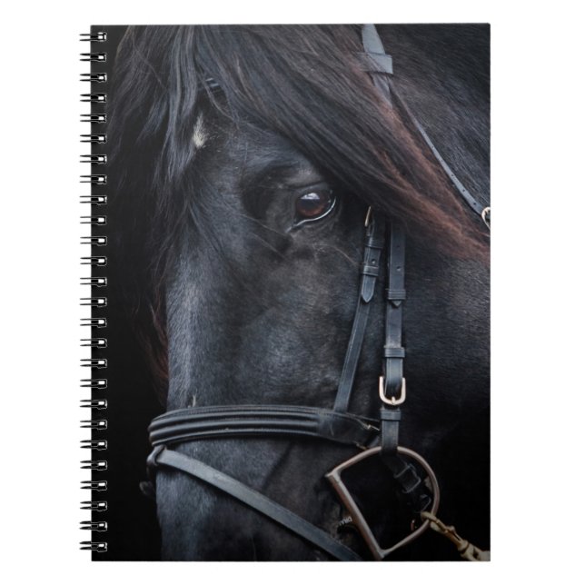 Carnet Tête d'étalon noir bridé (Devant)