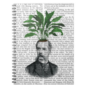 Carnet Tête d'usine de tête d'aspidistra