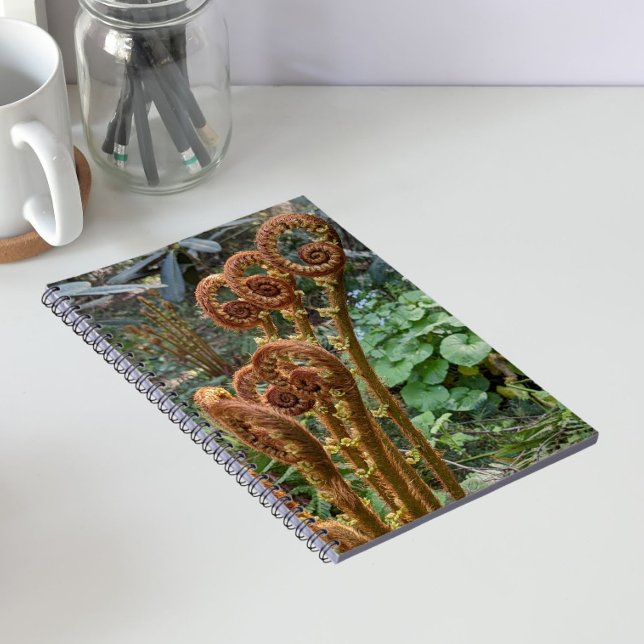 Carnet Têtes de violon de fougère botanique (In Situ)