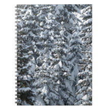 Texture de l'arbre à neige