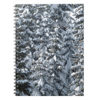 Carnet Texture de l'arbre à neige
