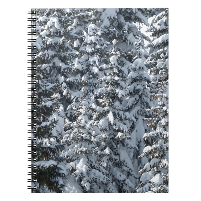 Carnet Texture de l'arbre à neige (Devant)