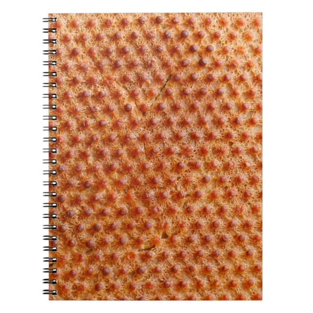 Carnet Texture de pain avec beaucoup de points (après cui (Devant)